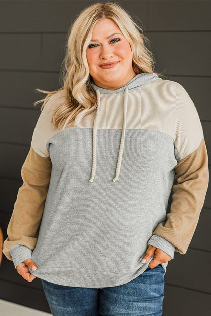 Plus Size Colourblock Drop Shoulder Ribbed Knit Hoodie | Multicolour