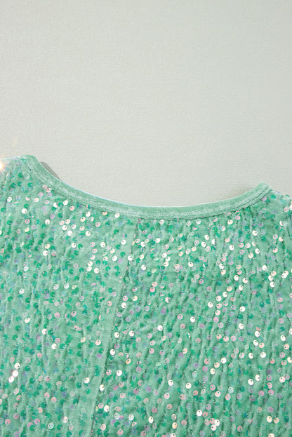 Sequin Batwing Sleeve V Neck Velvet Blouse | Moonlight Jade