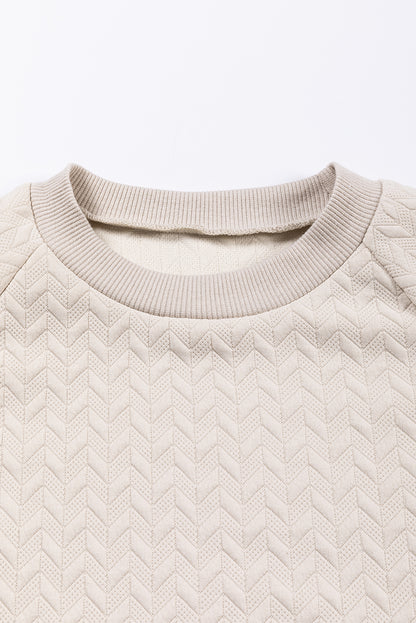 Solid Textured Raglan Sleeve Pullover Sweatshirt | Beige