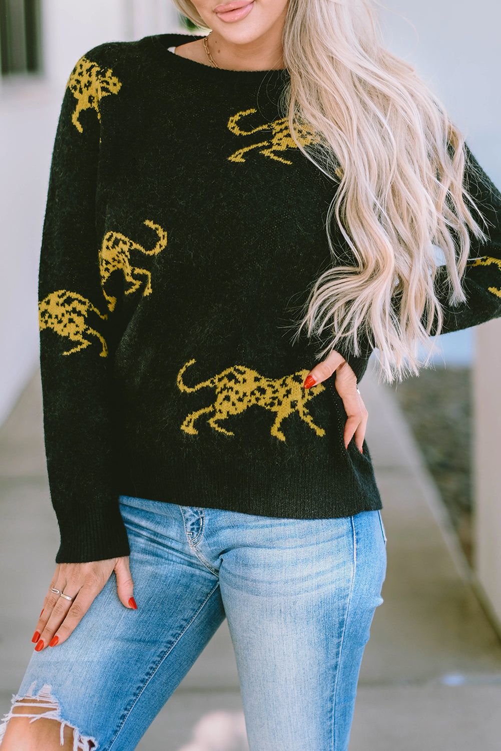 Cheetah Pattern Knit Round Neck Sweater | Black