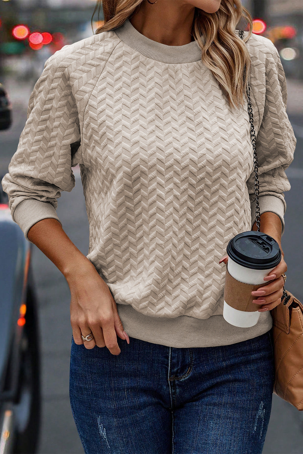 Solid Textured Raglan Sleeve Pullover Sweatshirt | Beige