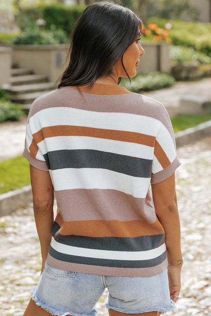 Striped Knit Crew Neck T Shirt Sweater | Camel