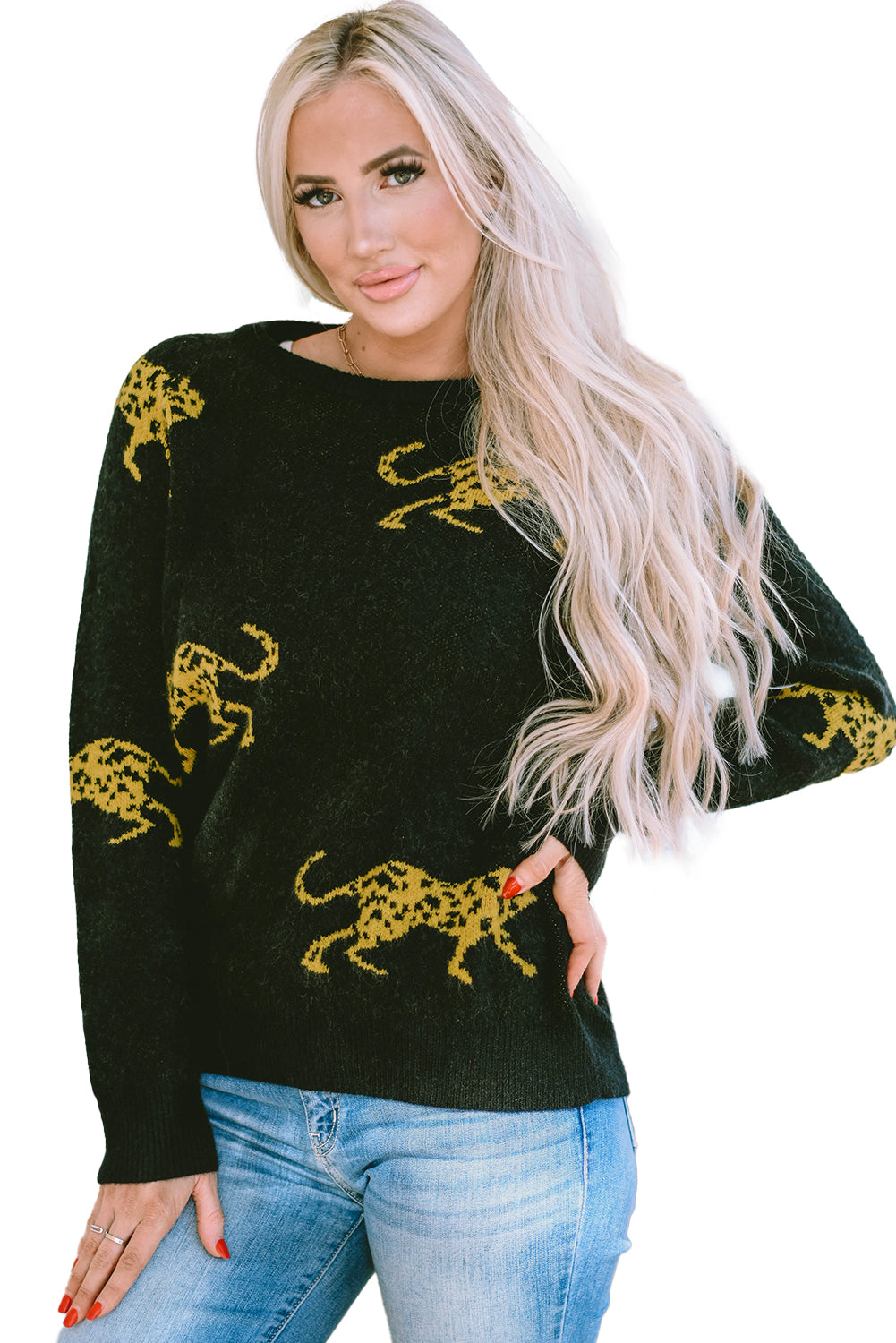 Cheetah Pattern Knit Round Neck Sweater | Black