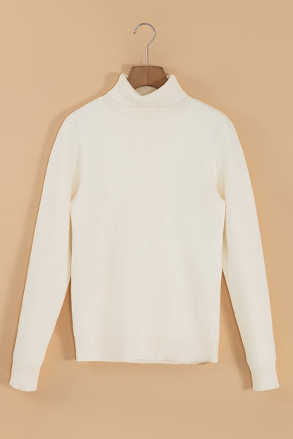 Turtleneck Fleece Lined Knit Sweater | Beige