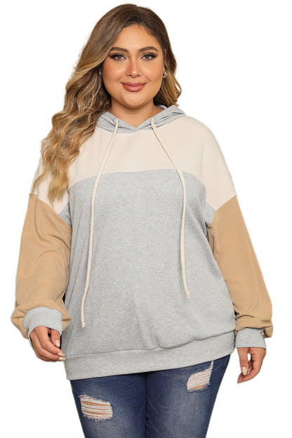 Plus Size Colourblock Drop Shoulder Ribbed Knit Hoodie | Multicolour