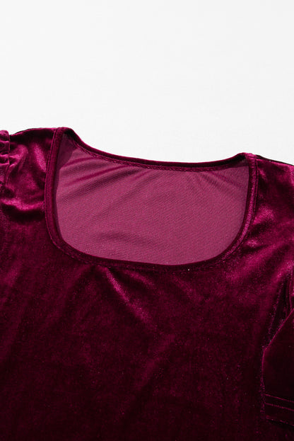 Short Puff Sleeve Velvet Top | Burgundy