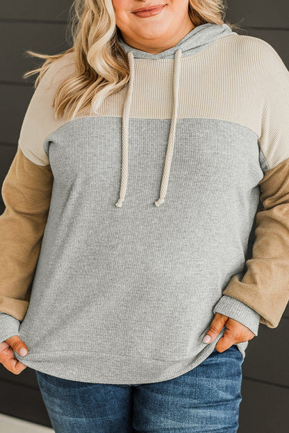 Plus Size Colourblock Drop Shoulder Ribbed Knit Hoodie | Multicolour