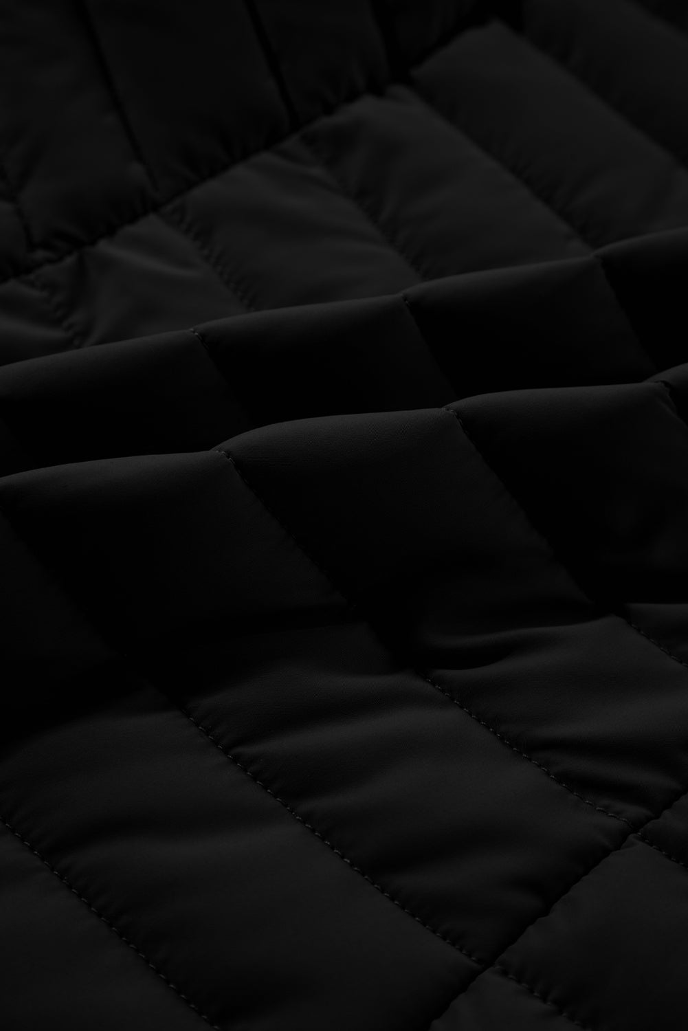 Plush Collared Quilted Zipped Puffer Vest | Black