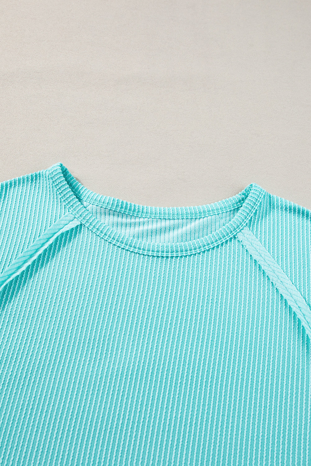 Ribbed Exposed Seam Casual Plus Size T Shirt | Light Blue