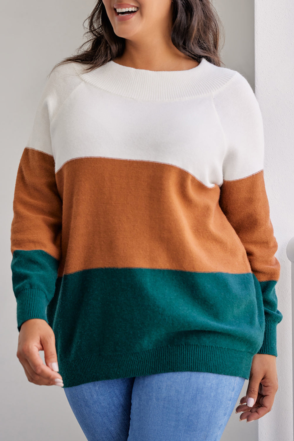 Plus Size Ribbed Trim Colour Block Sweater | Brown