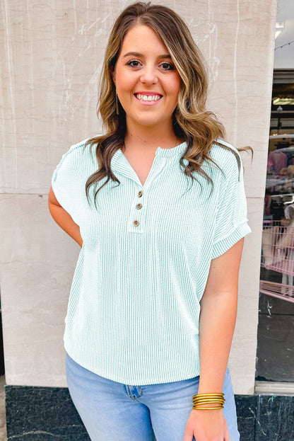 Plus Size Textured Henley T Shirt | Iceland Blue