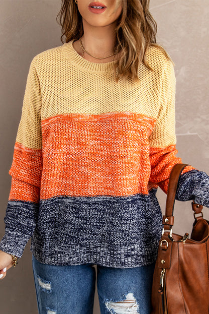 Blue Colour Block Netted Texture Pullover Sweater | Brown