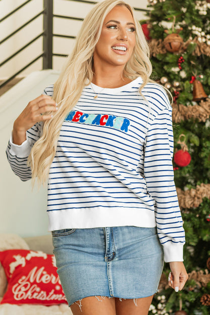 Chenille Firecracker Embroidered Sweatshirt | Blue Stripe