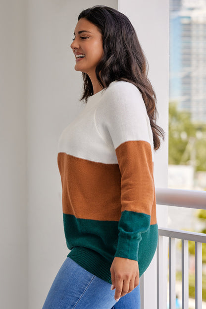 Plus Size Ribbed Trim Colour Block Sweater | Brown