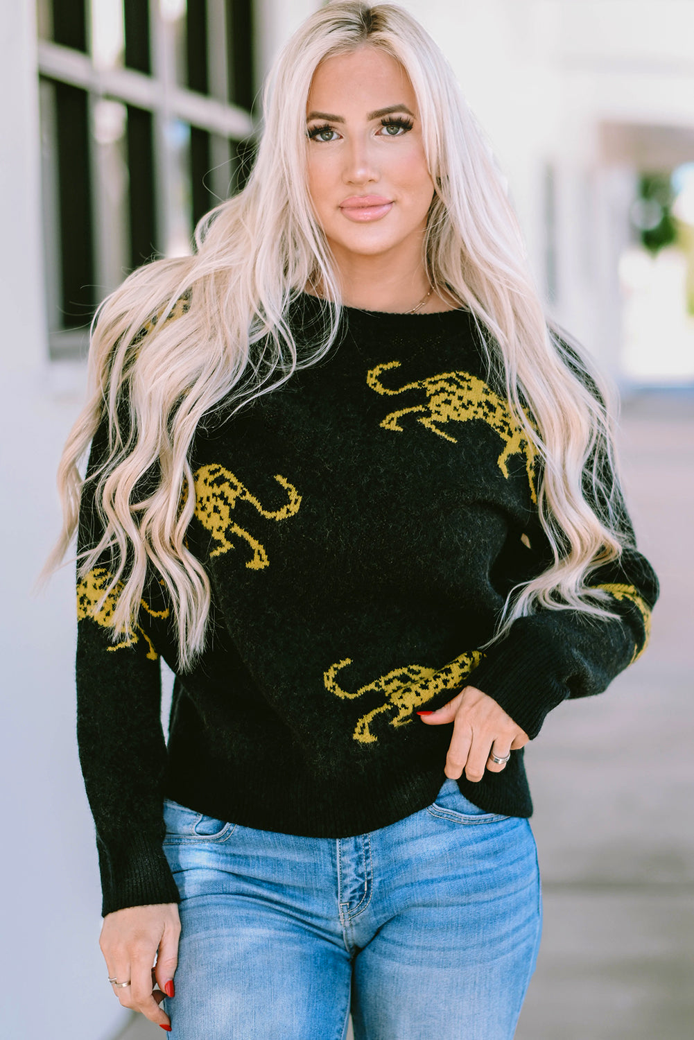 Cheetah Pattern Knit Round Neck Sweater | Black