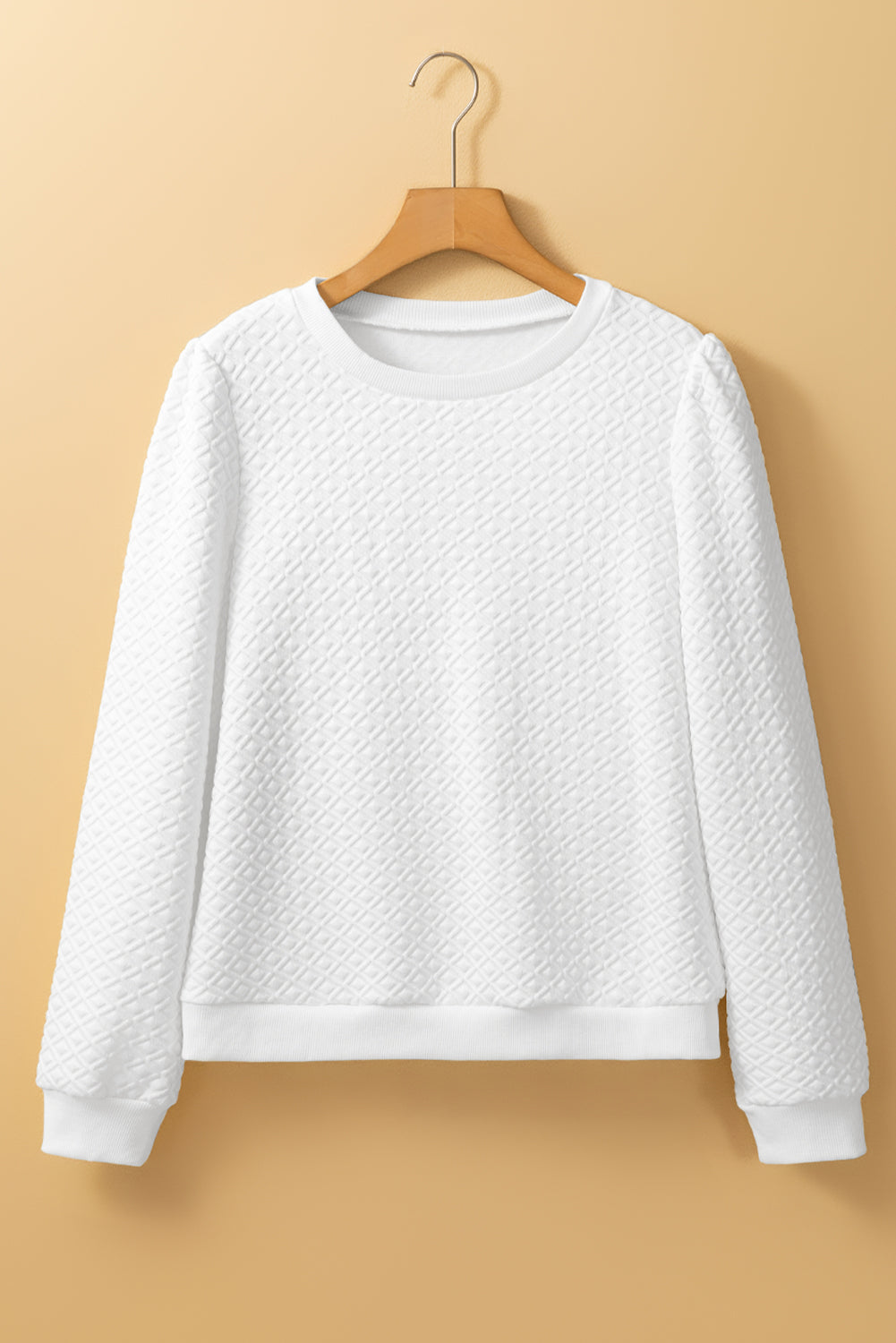 Textured Puff Long Sleeve Round Neck Top | White