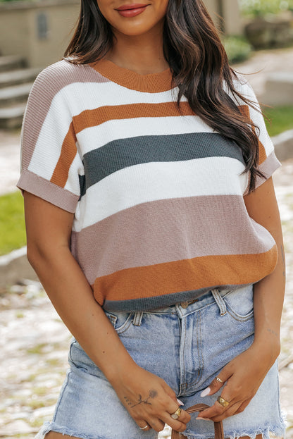 Striped Knit Crew Neck T Shirt Sweater | Camel