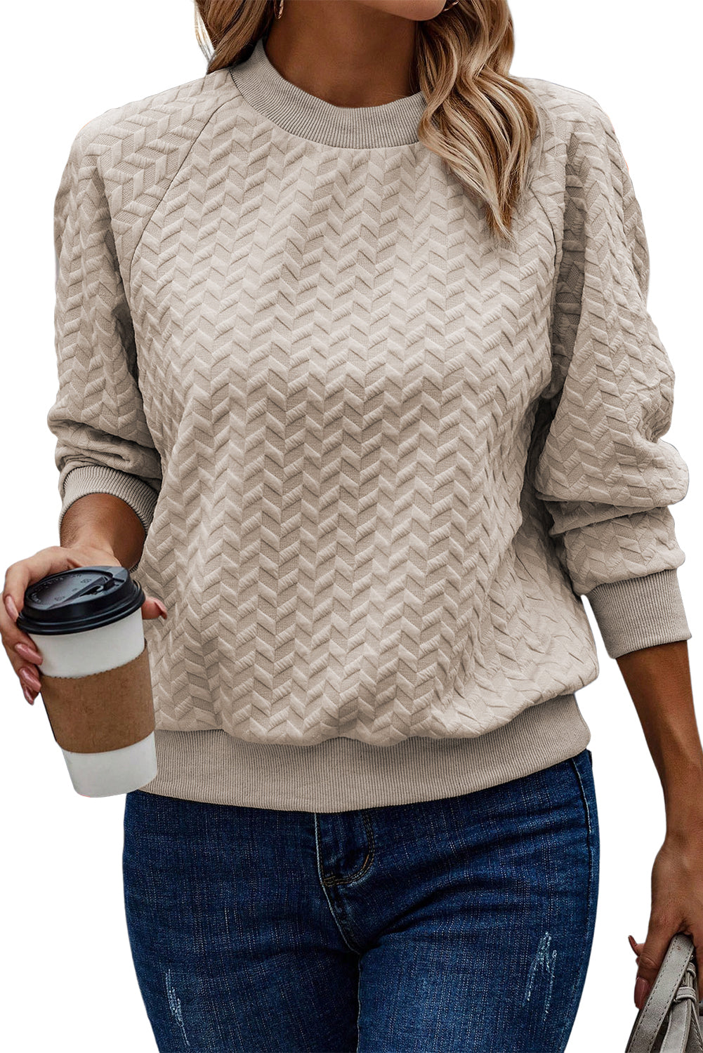 Solid Textured Raglan Sleeve Pullover Sweatshirt | Beige