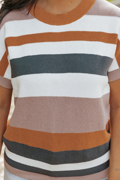 Striped Knit Crew Neck T Shirt Sweater | Camel