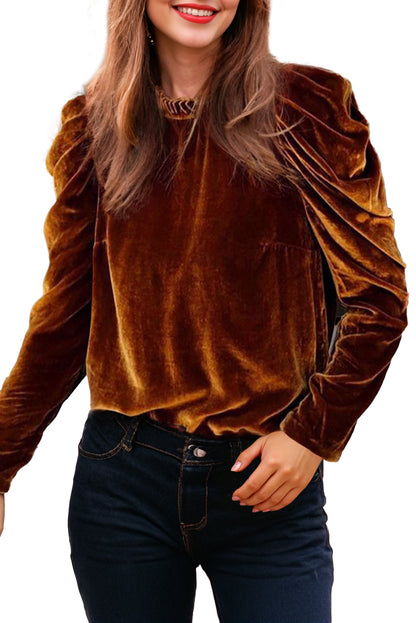 Frilled Collar Puff Sleeve Velvet Top | Chestnut