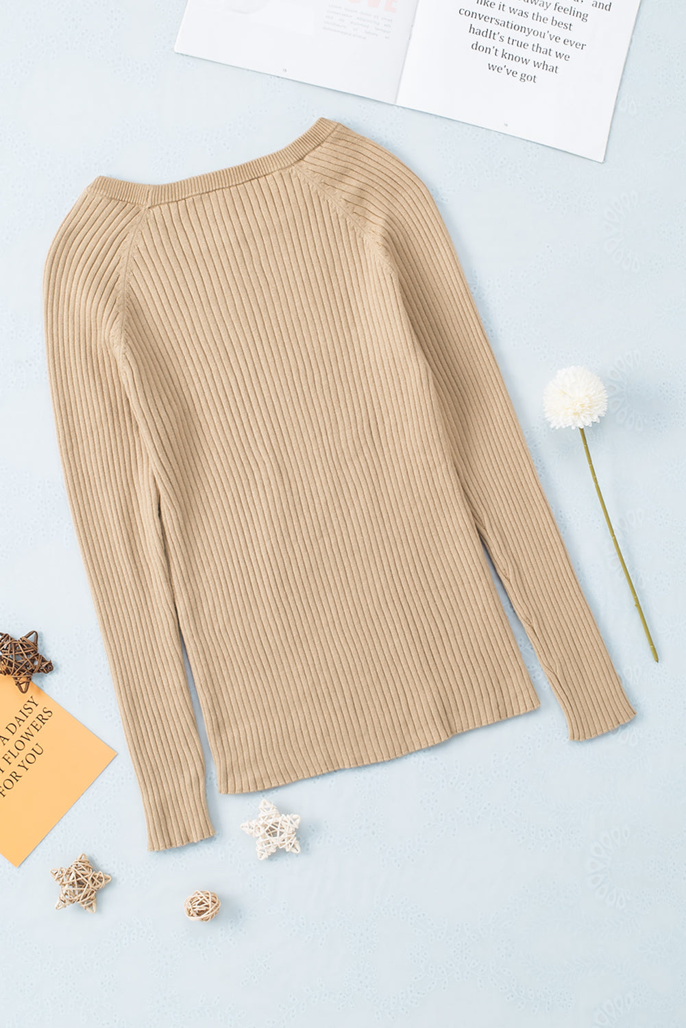 Ribbed Knit Round Neck Sweater | Apricot