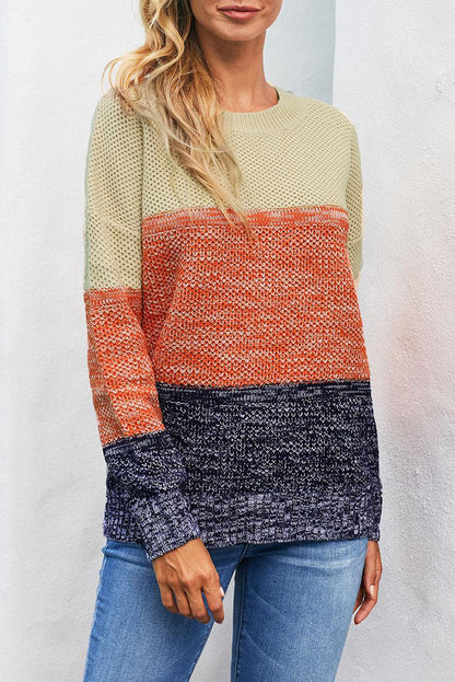 Blue Colour Block Netted Texture Pullover Sweater | Brown