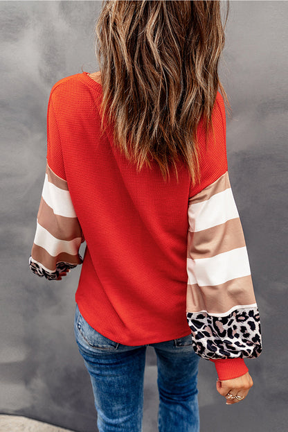 Hello Pumpkin Graphic Leopard Striped Colourblock Sleeve V Neck Top | Red