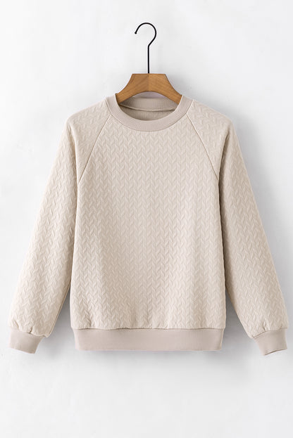 Solid Textured Raglan Sleeve Pullover Sweatshirt | Beige