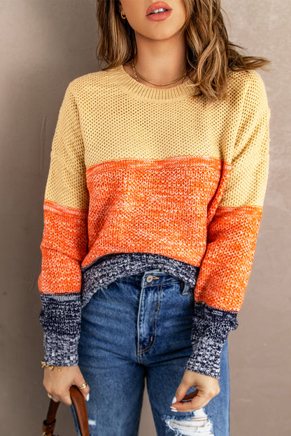 Blue Colour Block Netted Texture Pullover Sweater | Brown