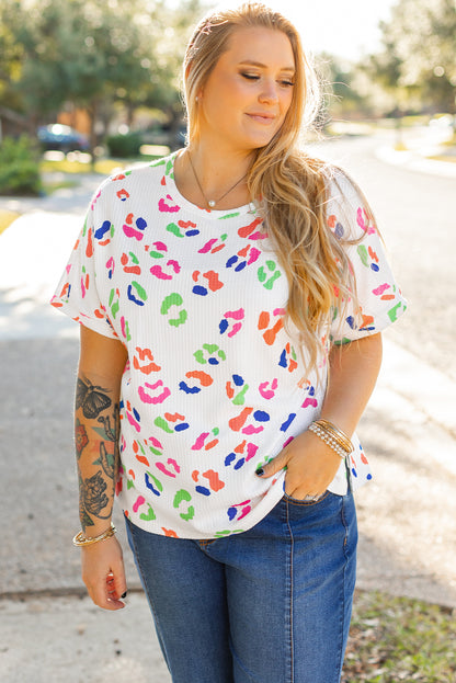 Multicolour Leopard Print Textured Plus Size T Shirt | White