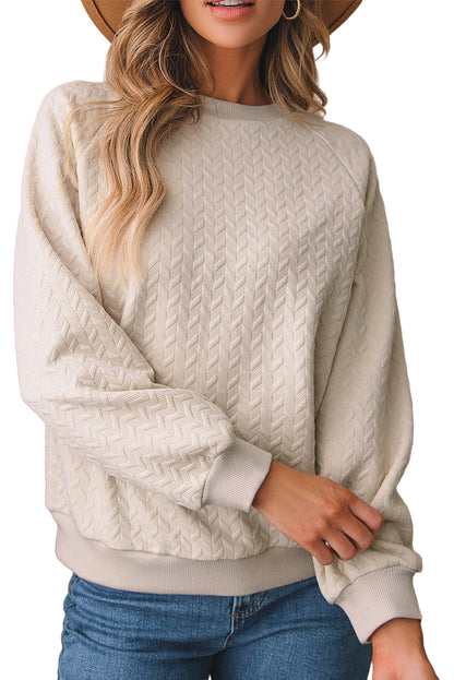 Solid Textured Raglan Sleeve Pullover Sweatshirt | Beige