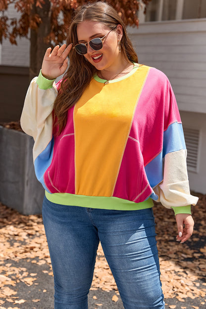 Plus Size Colourblock Patchwork Exposed Seam Sweatshirt | Rose Red