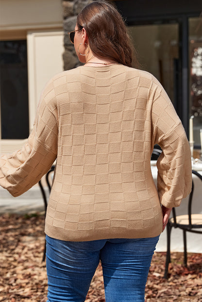 Solid Checkered Textured Knit Plus Size Sweater | Light French Beige