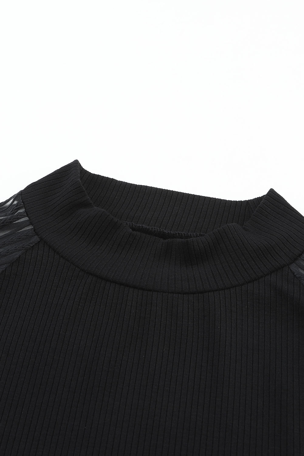 Striped Mesh Long Sleeve Crewneck Ribbed Top | Black