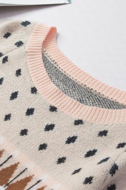 Mixed Geometric Detail Raglan Sleeve Sweater | Multicolour