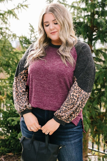 Leopard Colourblock Long Sleeve Plus Size Top | Multicolour