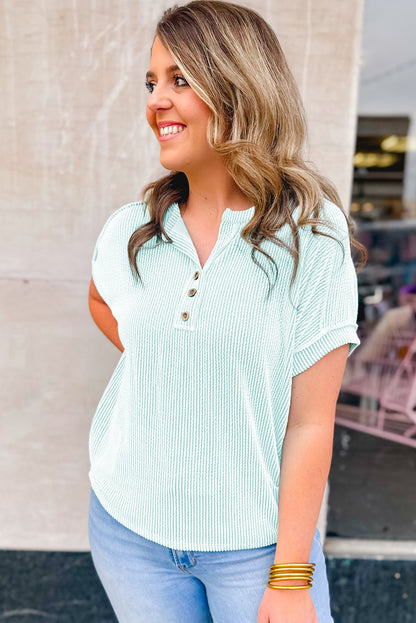 Plus Size Textured Henley T Shirt | Iceland Blue