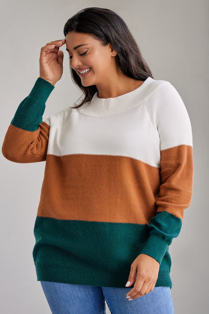 Plus Size Ribbed Trim Colour Block Sweater | Brown