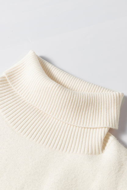 Turtleneck Fleece Lined Knit Sweater | Beige