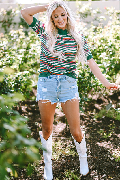 Striped Pattern Contrast Trim Pointelle Knit T Shirt | Dark Green