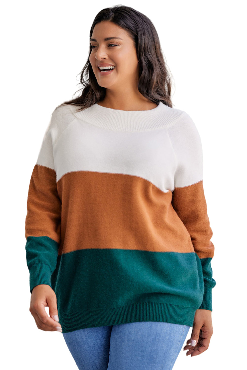 Plus Size Ribbed Trim Colour Block Sweater | Brown