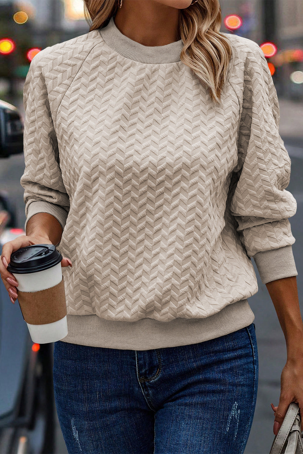 Solid Textured Raglan Sleeve Pullover Sweatshirt | Beige