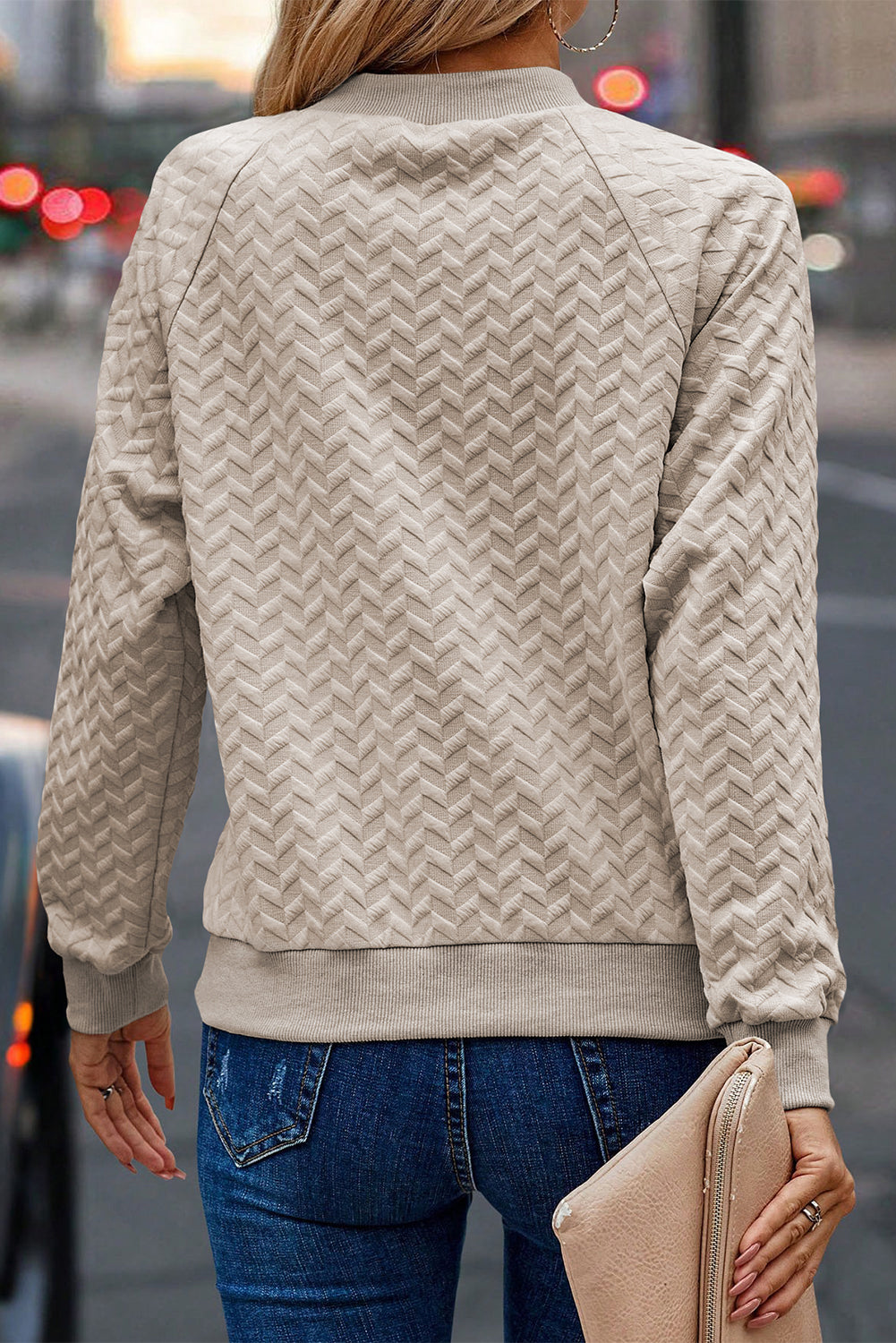 Solid Textured Raglan Sleeve Pullover Sweatshirt | Beige