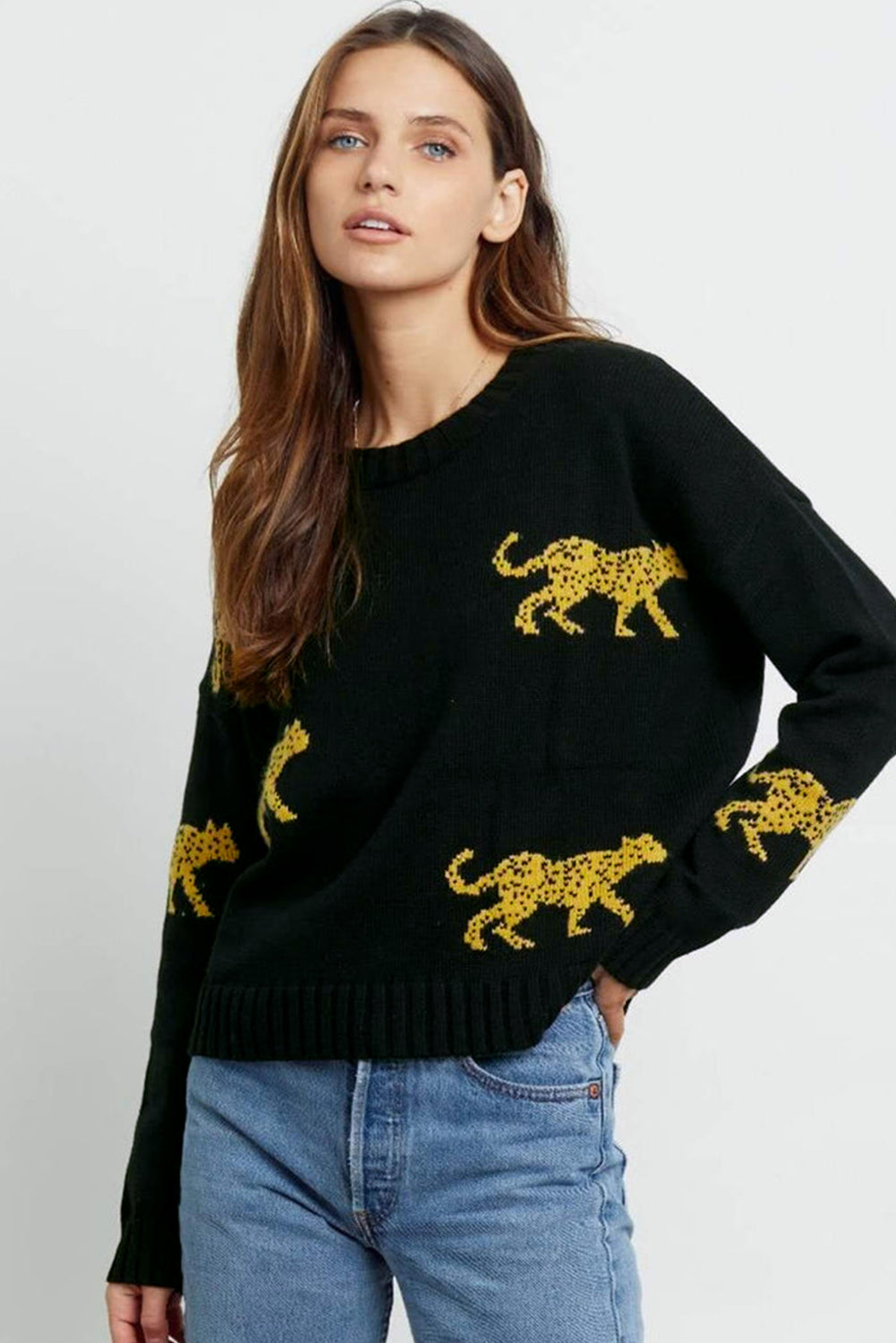 Cheetah Pattern Knit Round Neck Sweater | Black