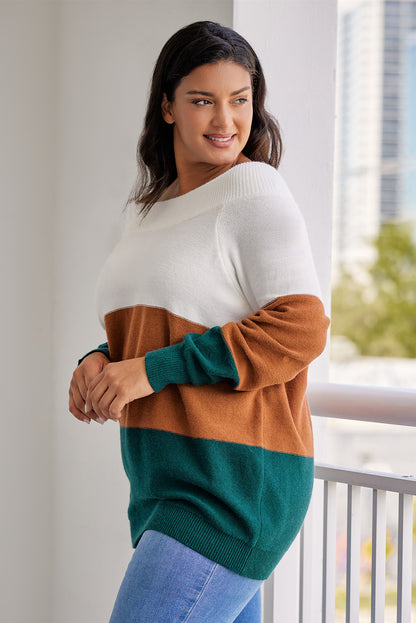 Plus Size Ribbed Trim Colour Block Sweater | Brown